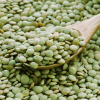 Green Lentils Bean