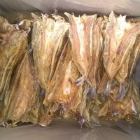 Dried Lizard Fish - Dried Seafood