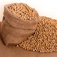 Soybeans NON-GMO Soya Beans Soybeans Crop High Quality Soybean/Soya Bean Wholesale price