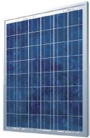 Sell solar module, solar panels 195W Poly