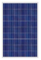 Sell Solar Module 215W Poly