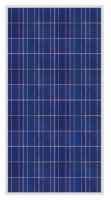 Sell solar panel 275W Poly