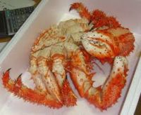LIVE RED KING CRAB/ FROZEN RED KING CRAB