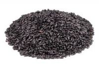 ORGANIC BLACK RICE PREMIUM GRADE FROM VIETNAM