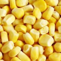 IQF Frozen Bulk Sweet Yellow Corn Kernel Price