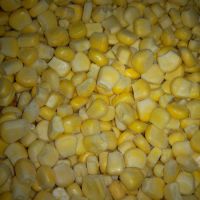 Maize Starch Food Grade white sweet waxy corn seed White Waxy Corn For Sale