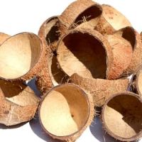 Raw Coconut Shell