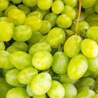 Fresh Muscat Green Grapes