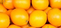 Fresh Citrus Navel Oranges