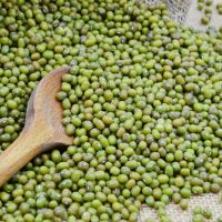 Quality Mung Beans 2019 Crop Year