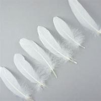 2020 Wholesale Top Quality So Soft plumas ganso Washed White Goose Down Quilt Goose Feather