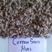 Premium Quality Cotton seed hulls Price
