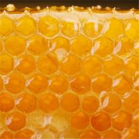 100% Natural Organic honey white bee wax