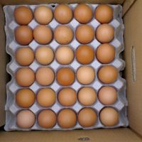 Table Eggs/Fresh Table Eggs Brown And White for sale