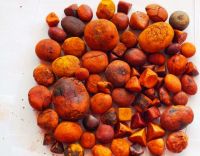 High Quality Cow & OX Gall Stones