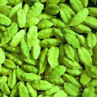 Natural Best Quality Fresh Green Cardamom Elachi Spice for Wholesale