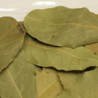 High Quality Natural Spices Bay Leaf