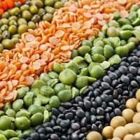 Quality Red Lentils, Green Lentils, Yellow Lentils