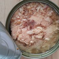 Healthy and delicious Canned Tuna in vegetable oil