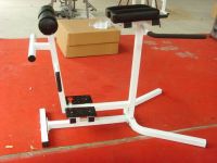 Sell fitness equipment/gym equipment/Roman Chair(SW-8006)