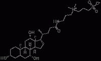 3-((3-Cholamidopropyl)dimethylammonium)-1-propanesulfonate, 75621-03-3