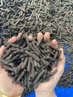 Long Pepper