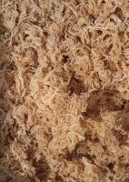 St Lucian Golden Sea Moss