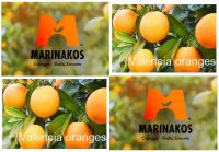 ORDER Valencia Oranges from Skala Laconia Greece