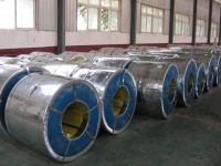 sell hot dipped galvanized steel coils