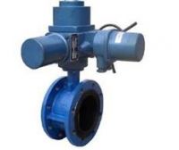 VALVES & ACTUATORS WITH CONTROLS