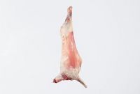 Sheep Carcass