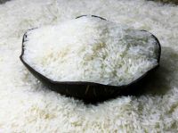 Japonica Rice