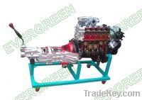 Sell Engine and Transmission Anatomy Model