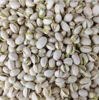 Cheap price wholesale Bulk Healthy Nut Pistachios for Sale