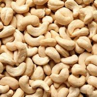High Quality Raw Cashew Nuts