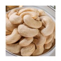 Hot Selling Cheap Raw Cashew Nut/ Cashew Nuts W180 W240 W320 W450/ Thailand Certified WW320 Dried Cashew