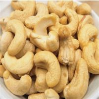 cashews nuts / cashews kernels dried organic / cashews nuts roasted and unsalted