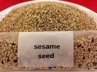 Natural Nutritious 100% White Sesame Seed With No Additives