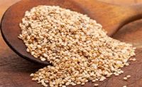 Natural organic 24 shelf life Brown Sesame Seeds for food and sesame oil