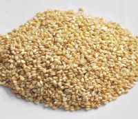 Thailand Origin White Wollega Sesame Seeds