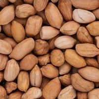 Grade A PEANUT FOR SALE / Peanuts/Groundnut - JAVA 50-60 COUNT