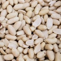 Best Quality Raw Peanuts without Shell