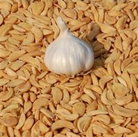 Dried and Powder Garlic 100% Natural Product of Thailand