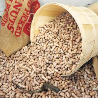 Wholesale Premium Quality Peanuts, Red Skin, Virginia 25 kg