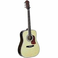 Sell acoustic guitar with eq