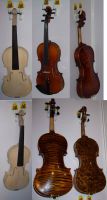 Sell HIGH QUALITY VIOLIN(BACK WITH BIRD EYE)