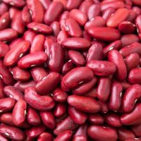 Top quality red cowpea