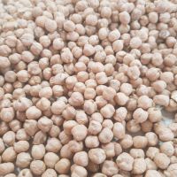 High quality Kabuli Chickpeas in 25 kg pp bag