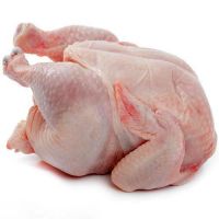 Halal whole frozen chicken; good price