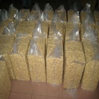 Processed cashew Kennels